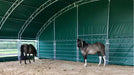 12x12 Metre livestock Shelter Tent - Varna Buildings